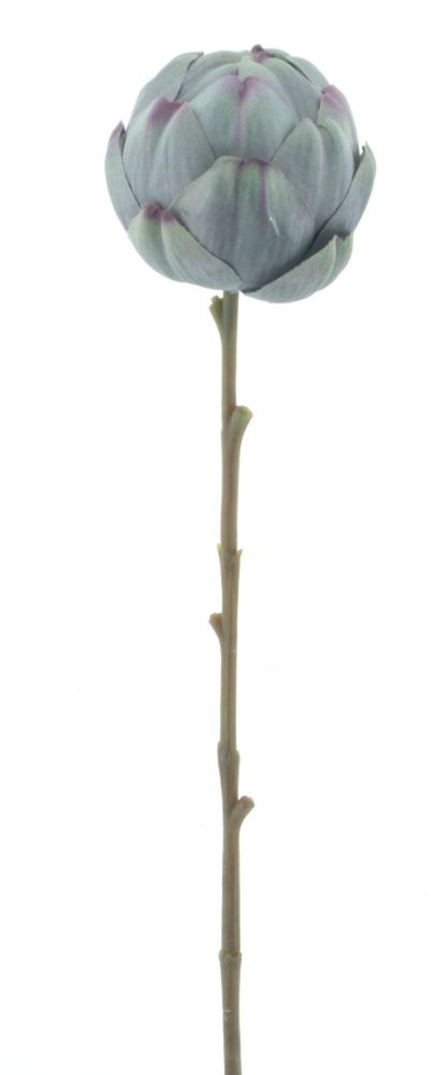 Artischocke green 53cm 13584-1