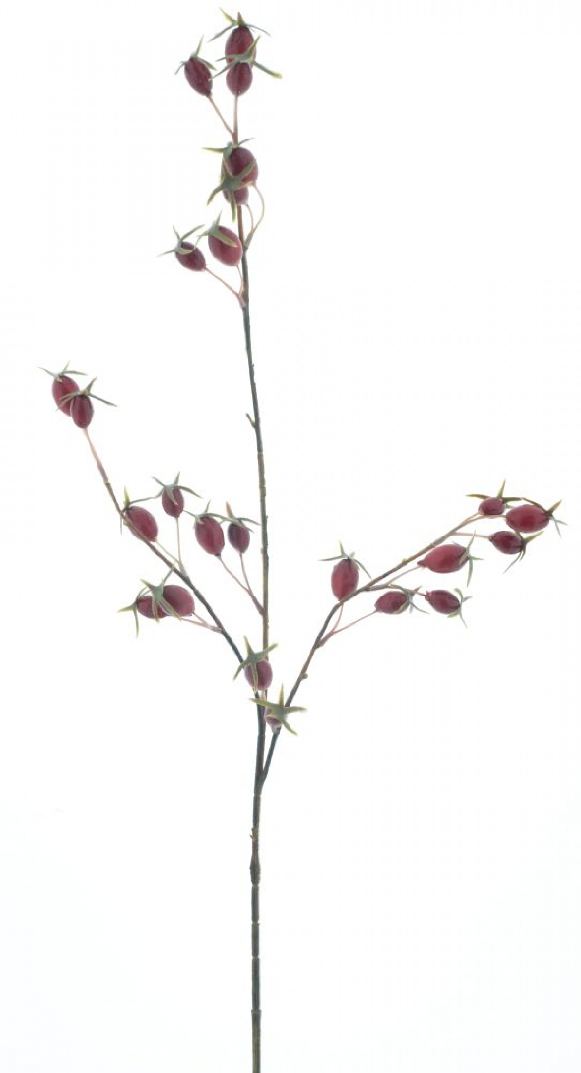 Hagebutten-Zweig ca. 70cm rot 13594-3