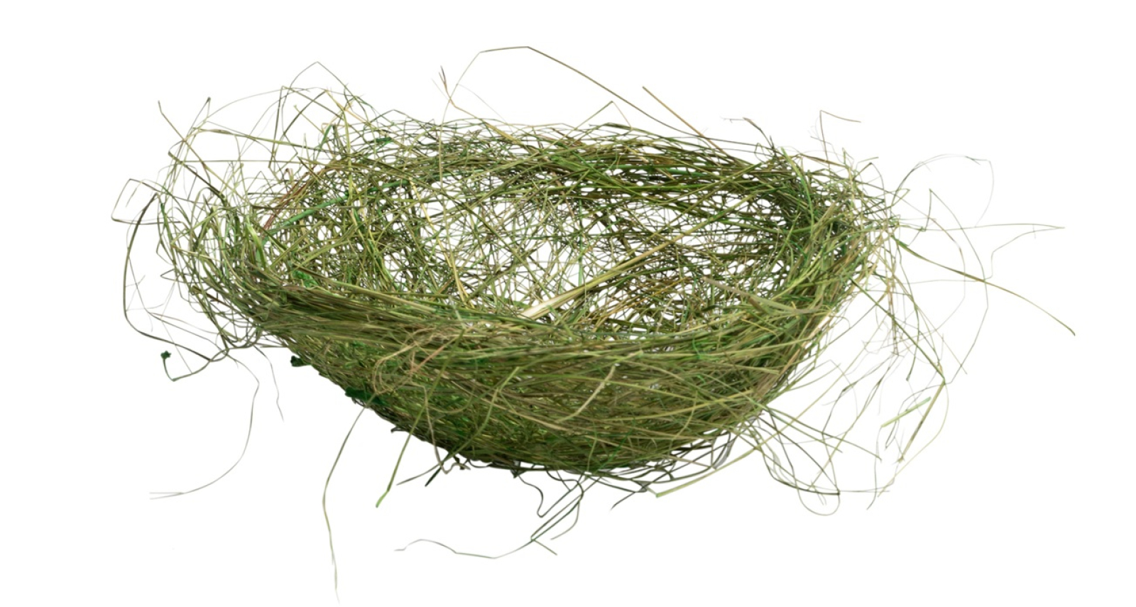 Heu-Nest gruen, DM25x9cm 21HEN11