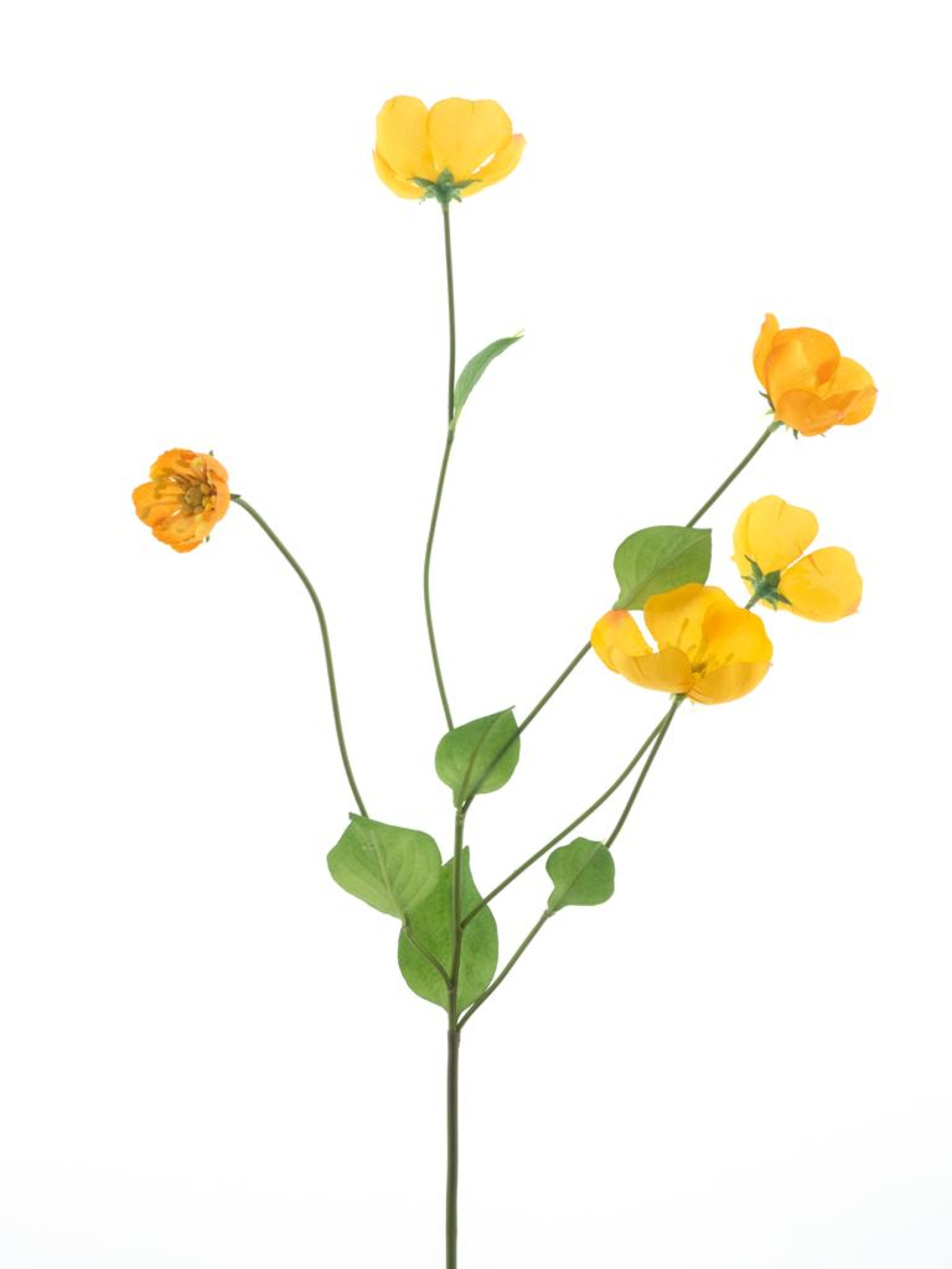 Melastoma-Zweig gelb 76cm 22346-2