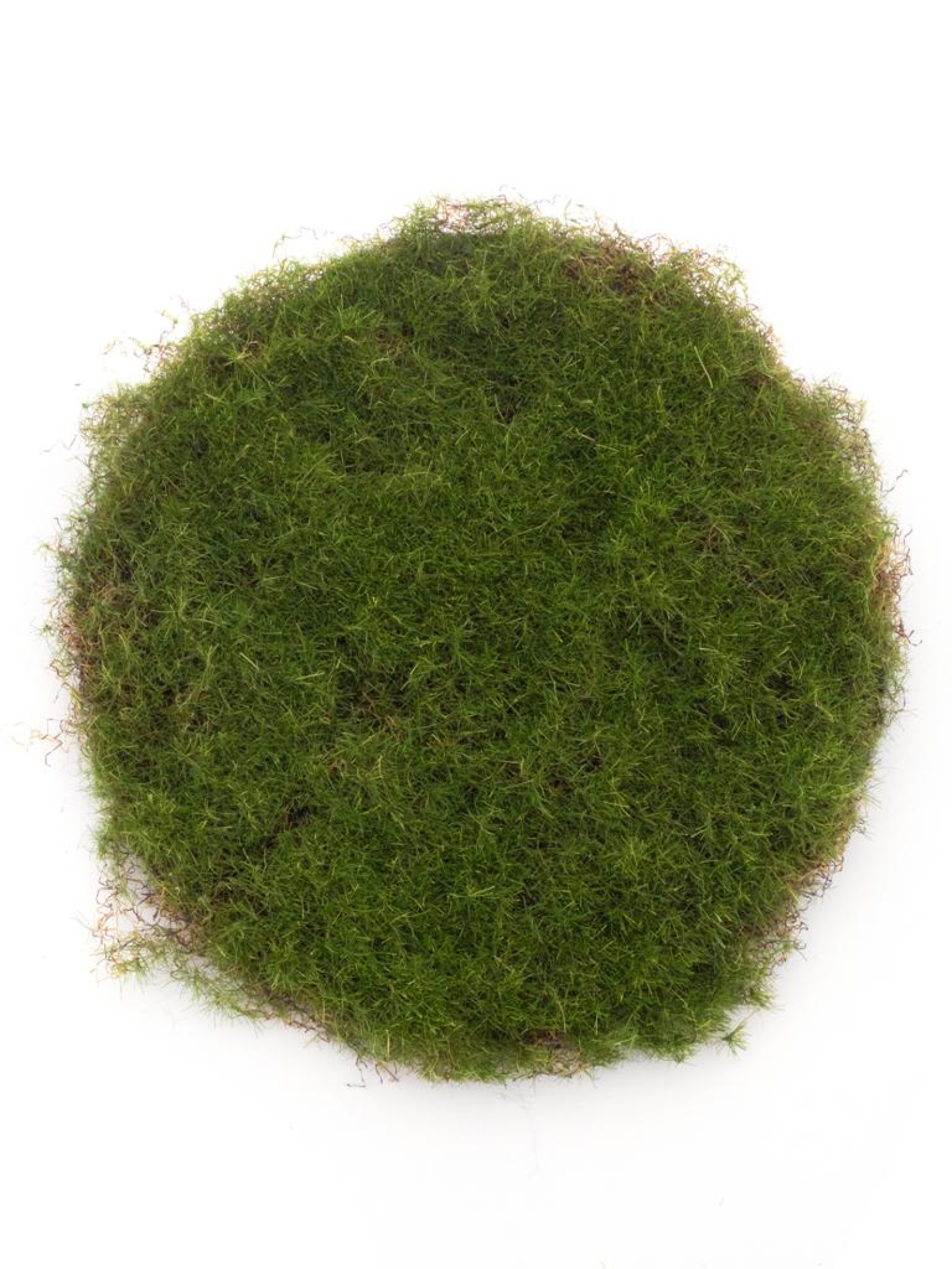 Moos-Matte rund gruen 25cm 22409-1