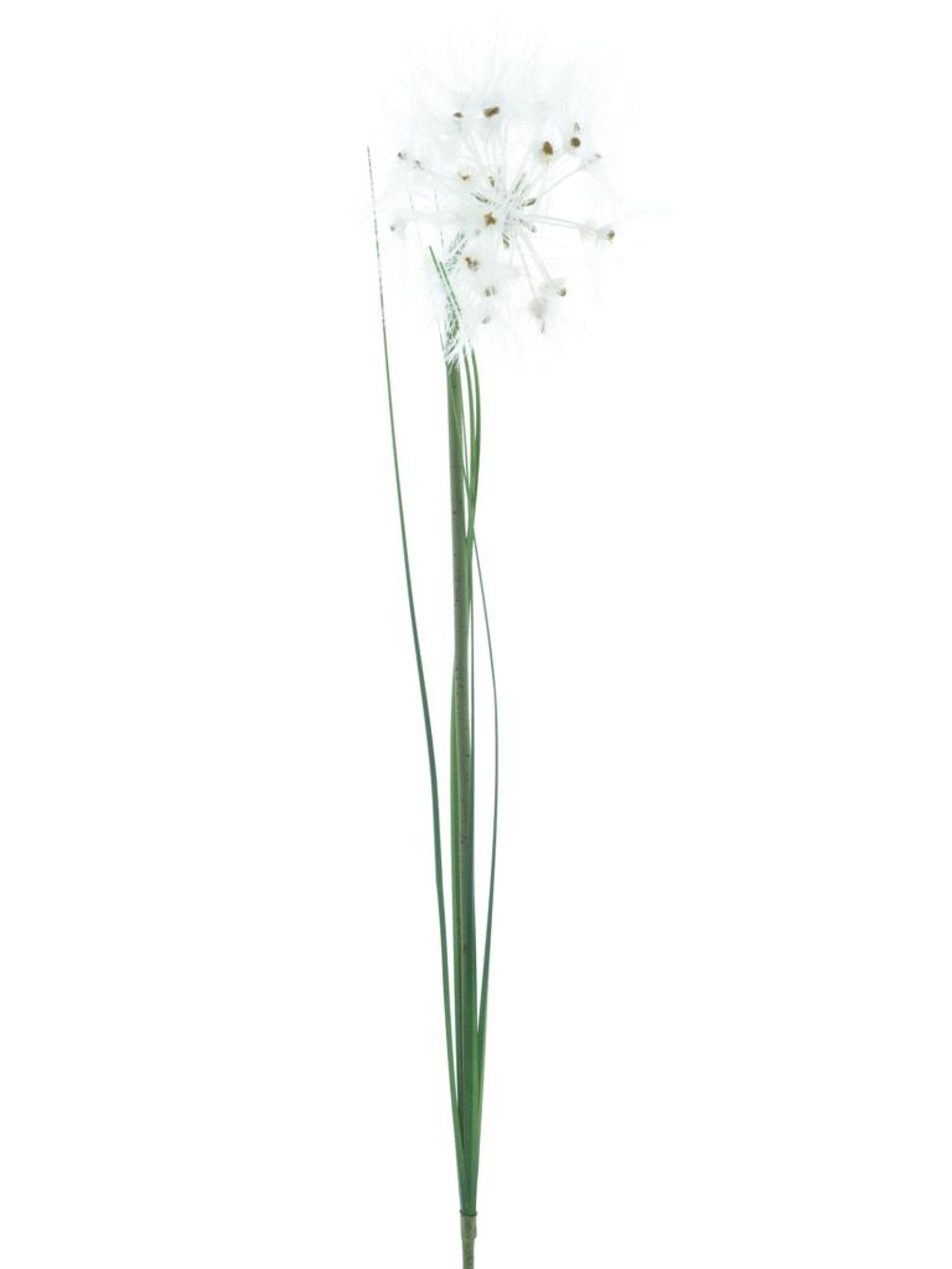 Pusteblume m.Gras creme 63cm 22658-0