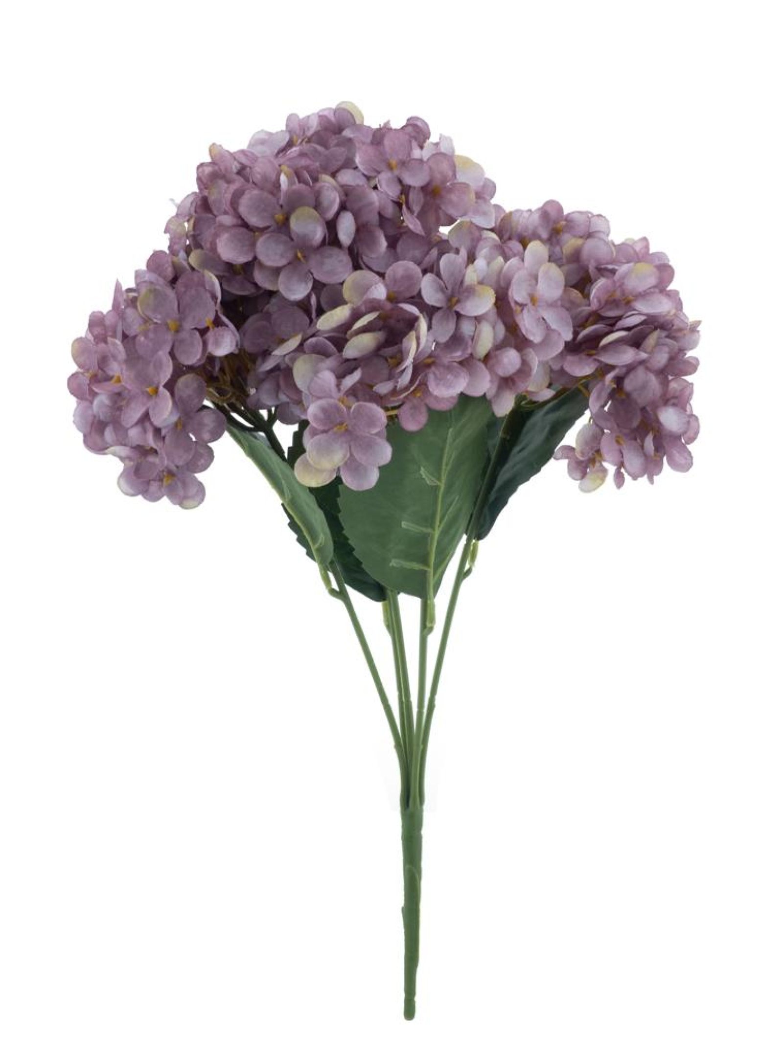 Hortensien-Busch Eifel purple 47cm 22729-6