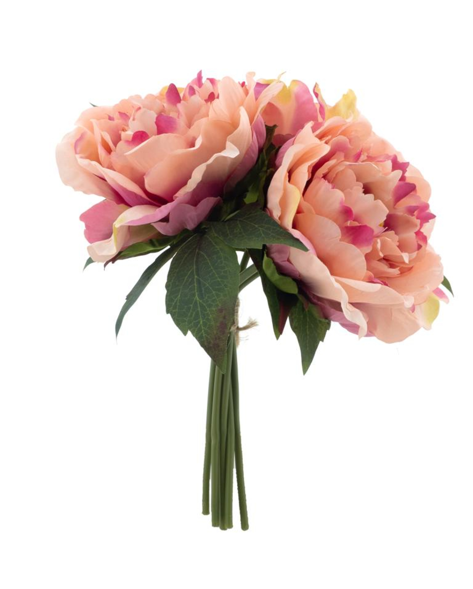 Peonien-Bund Saksen peach 28cm 22737-5