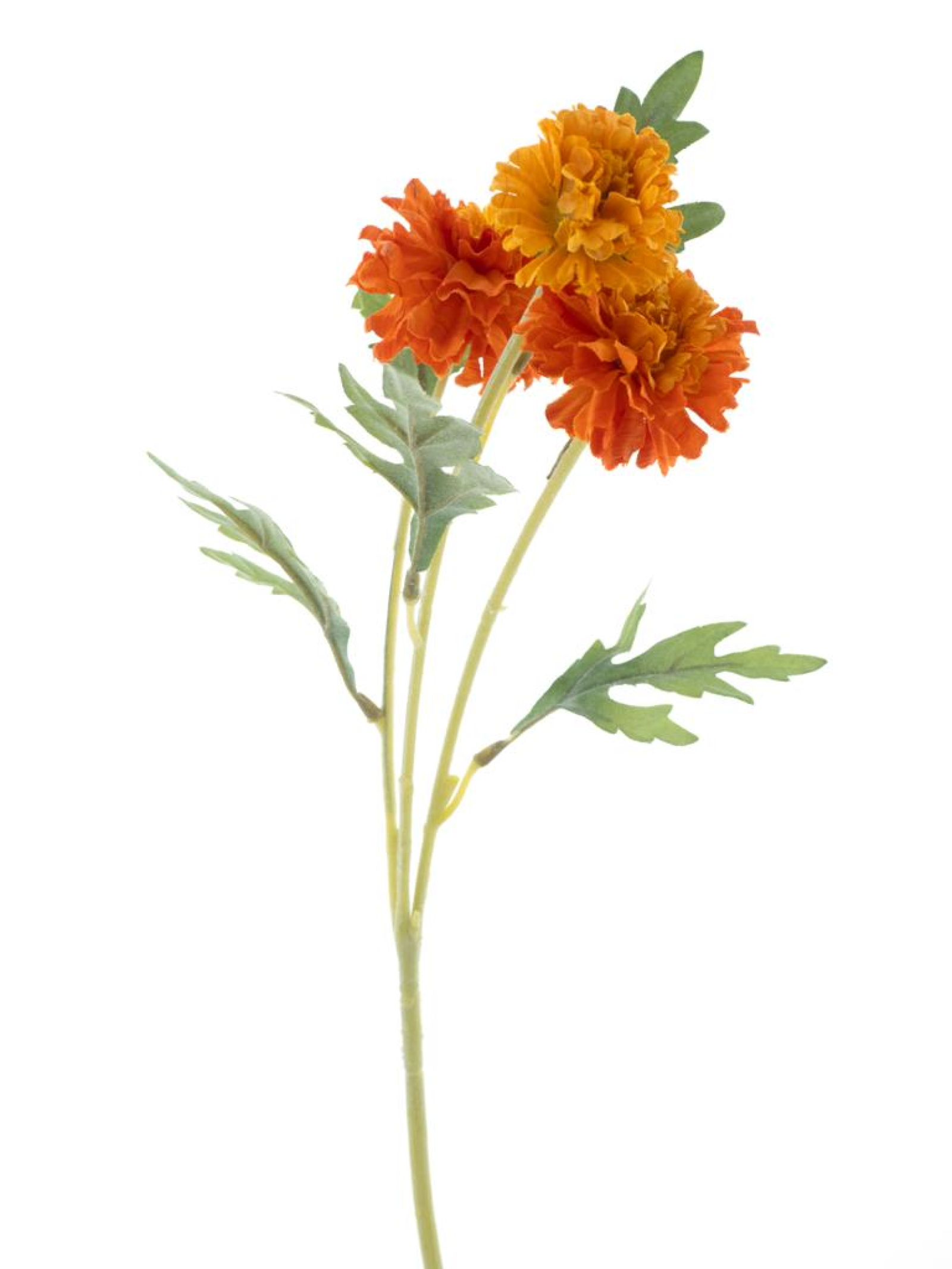Tagetes-Zweig orange 47cm 22806-5