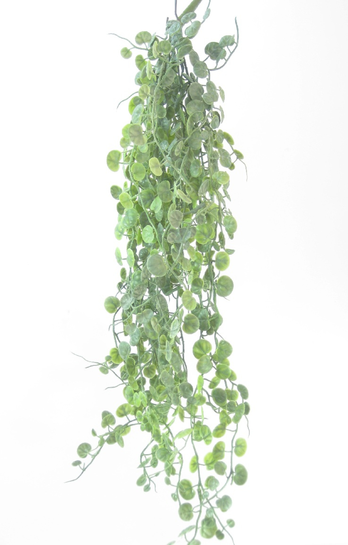Blatthaenger, L85cm grau-gruen 230070-72