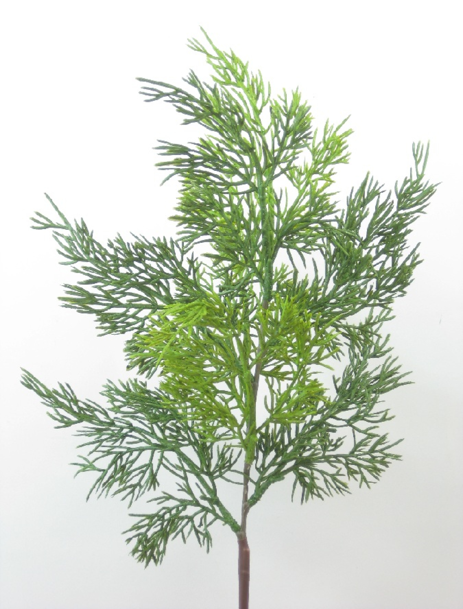 Wacholderzweig, 50cm gruen 320341-42