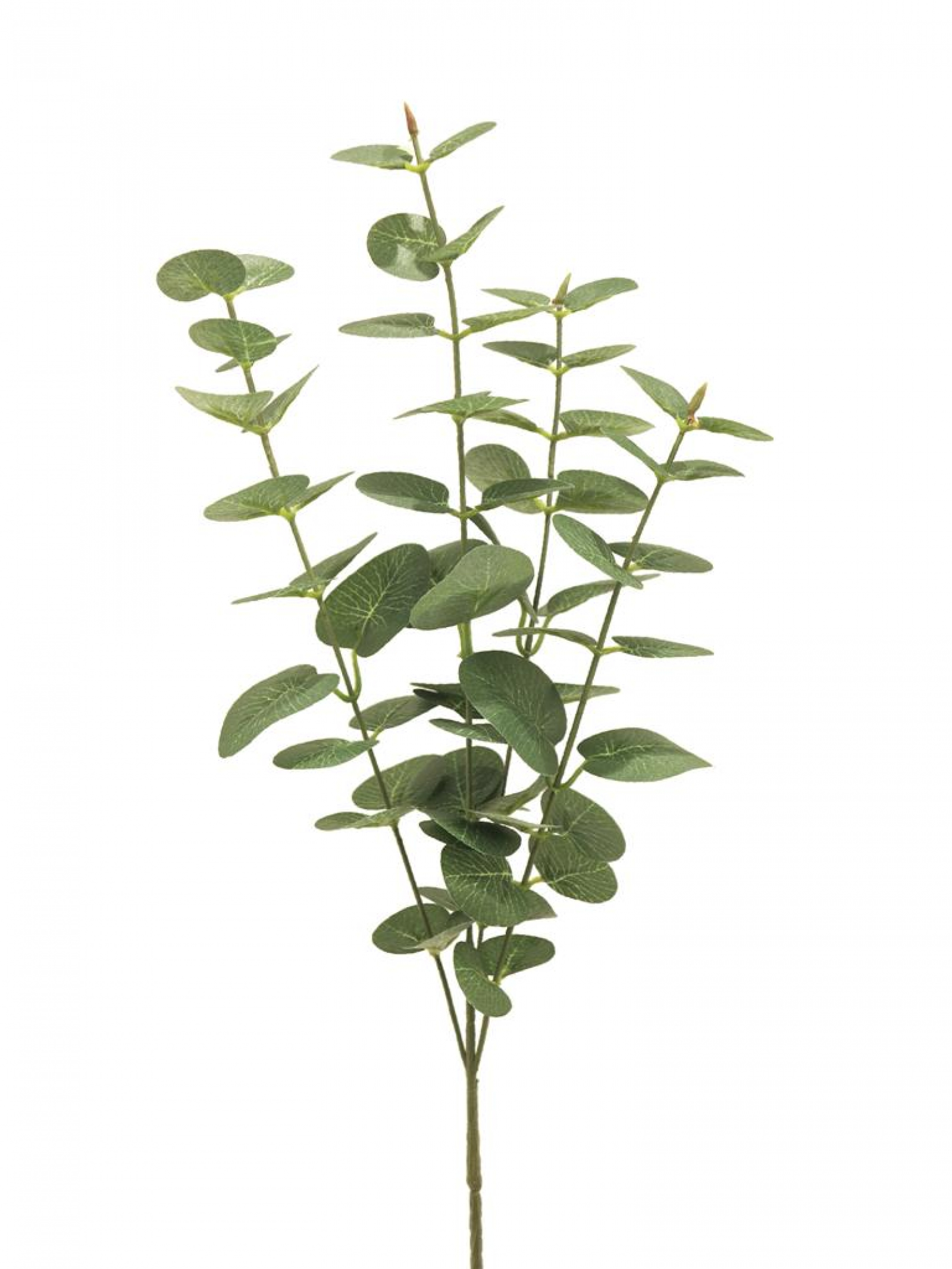 Eucalyptus Zweig Jewel grau-gruen 64cm 32128-2