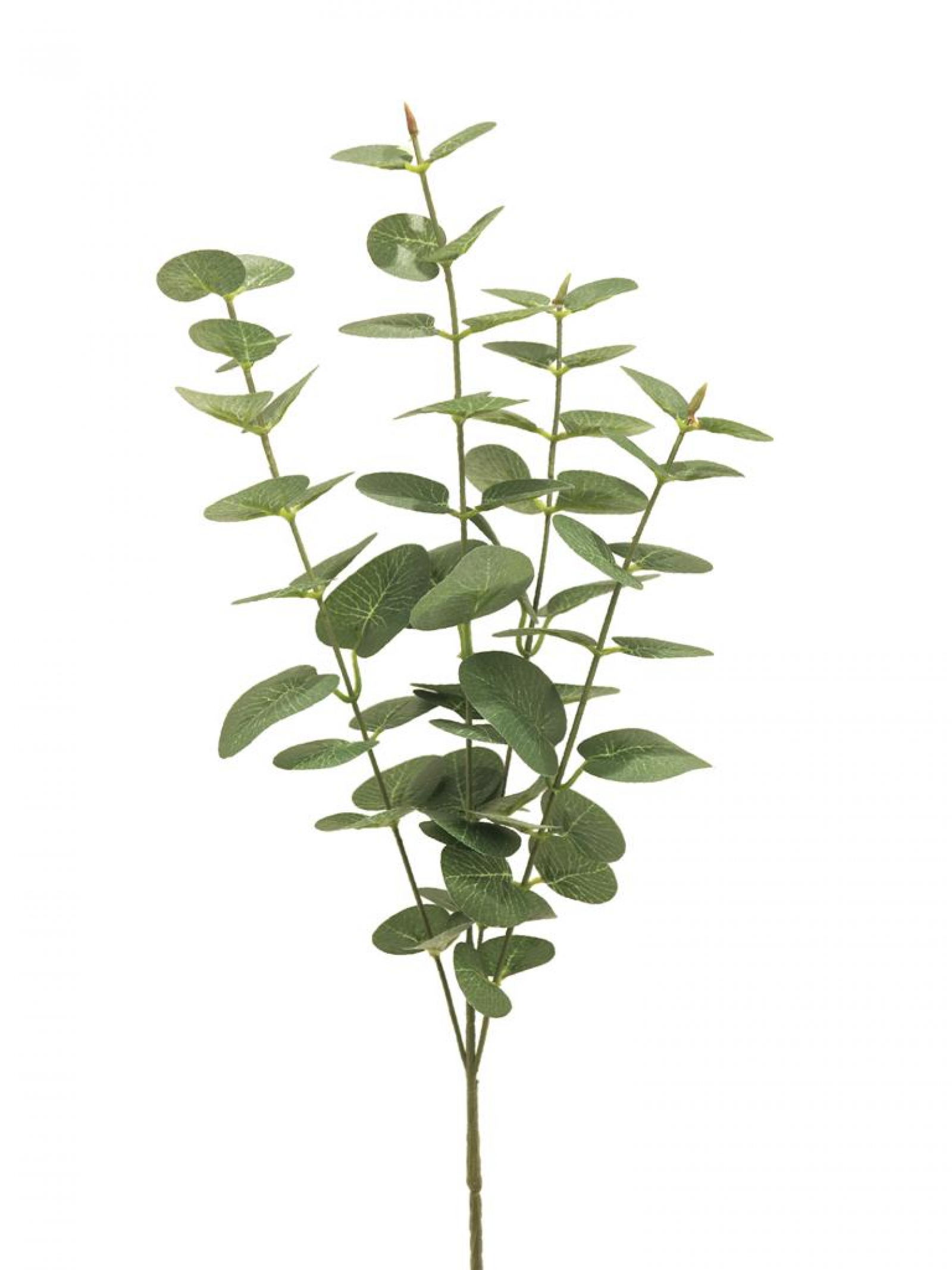 Eucalyptus-Zweig Jewel grau-gruen 64cm 32128-2