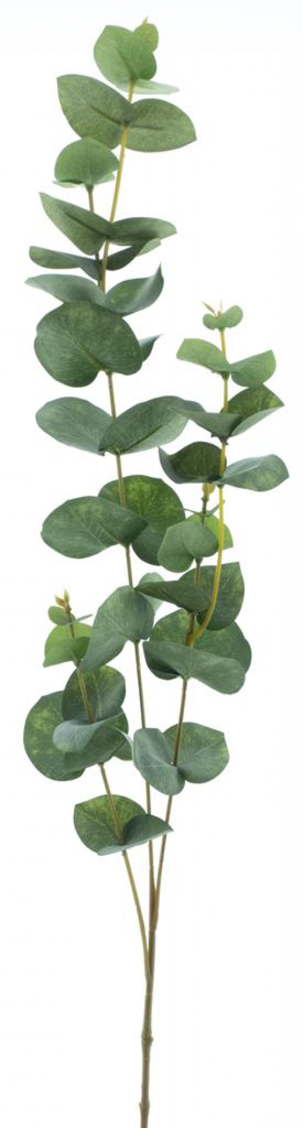 Eucalyptus-Zweig gruen 86cm 32880-1