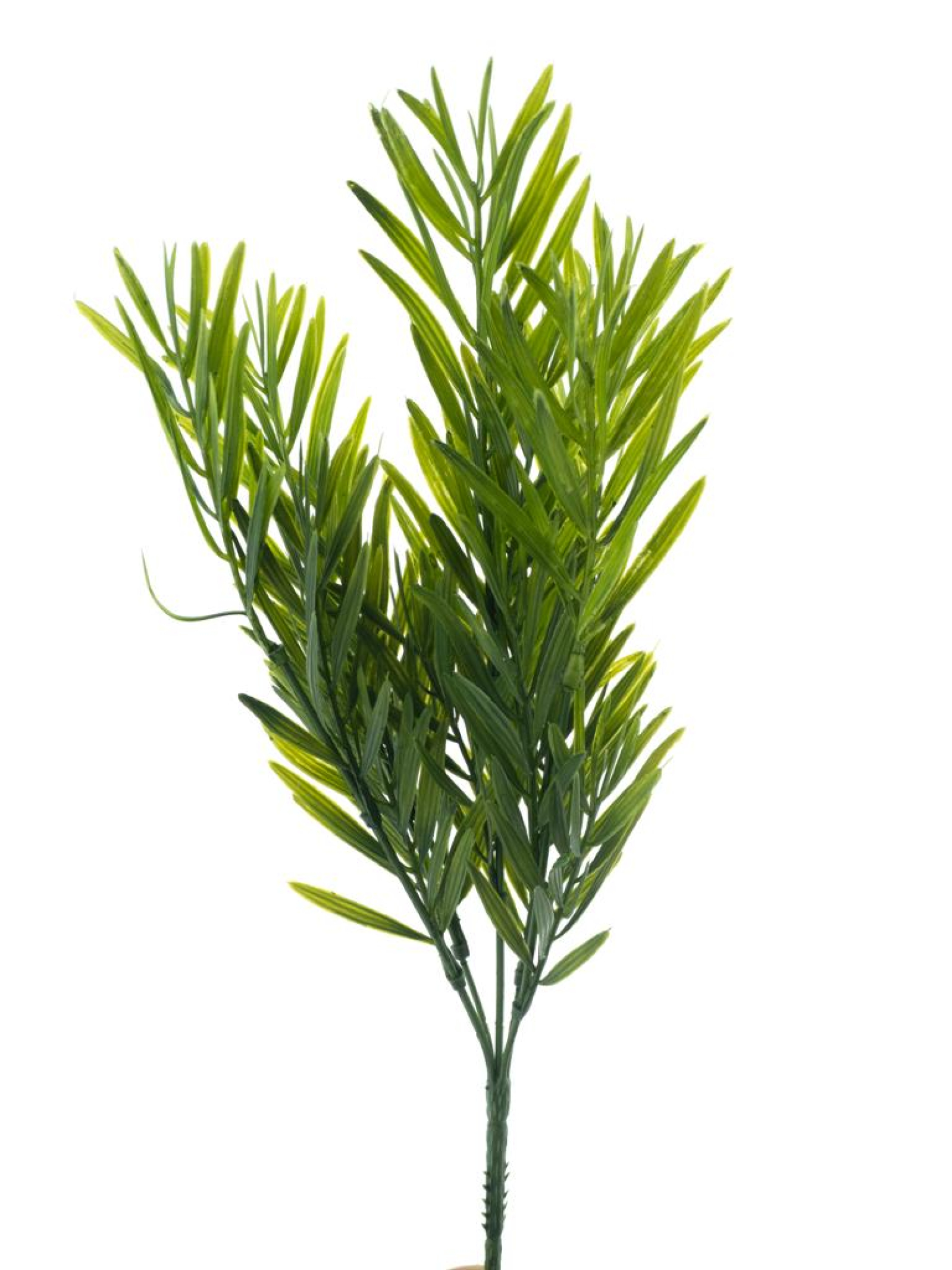 Opodocarpus-Busch gruen 35cm 33199-1