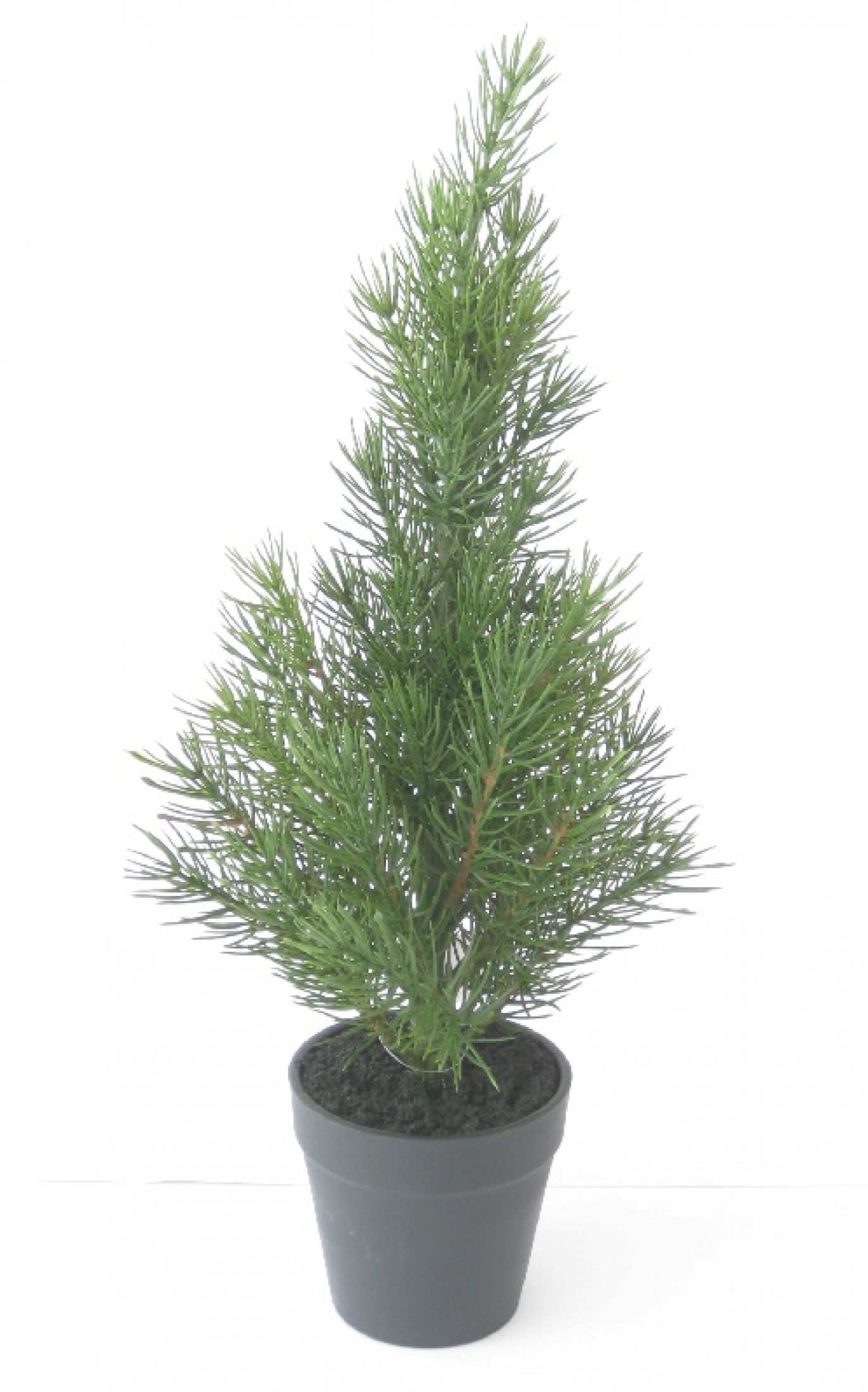 Tannenbaum H43cm gruen i.Topf 380086-43