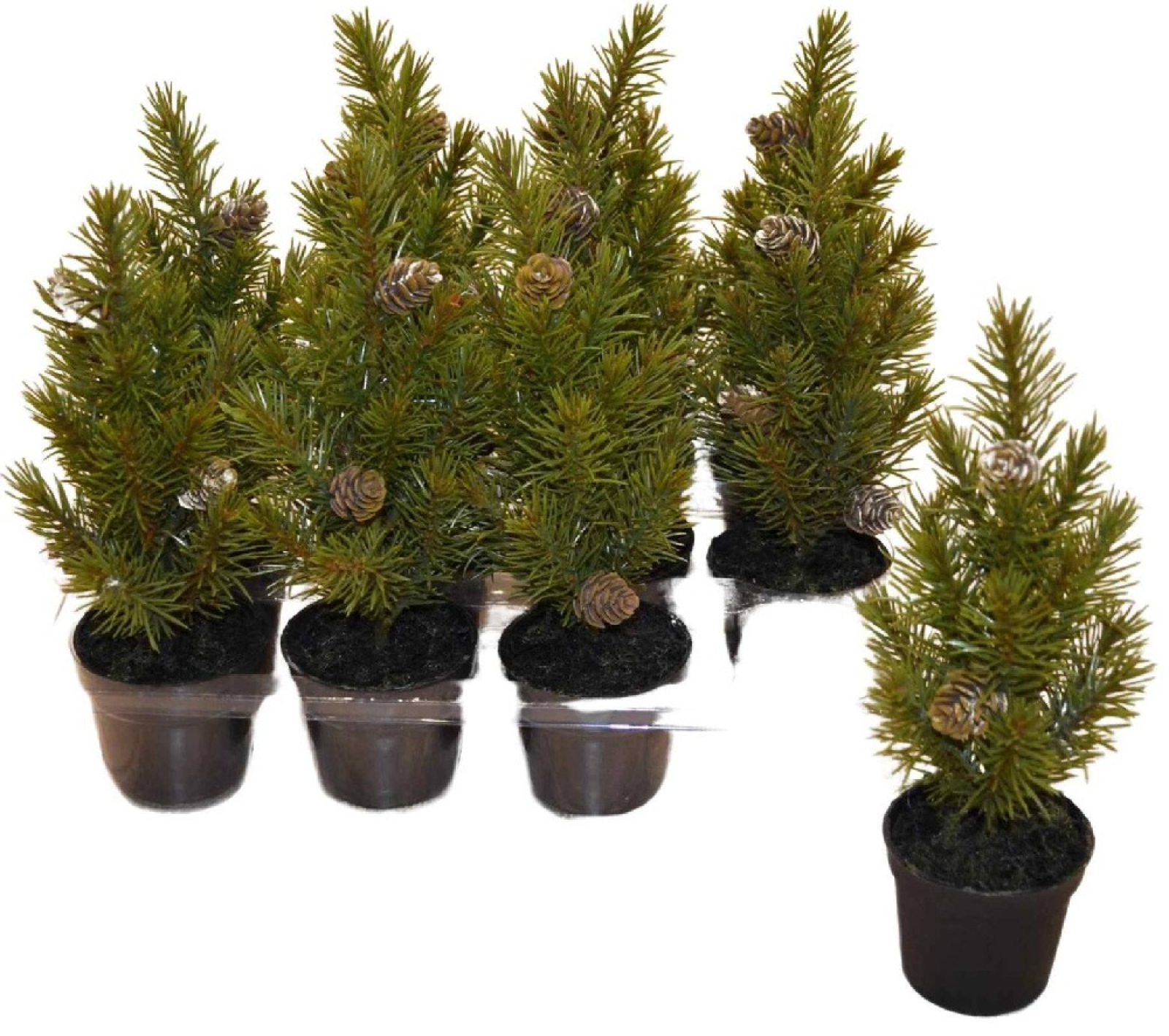 Tannenbaum i.Topf ca.22cm D4cm gruen 382109-42
