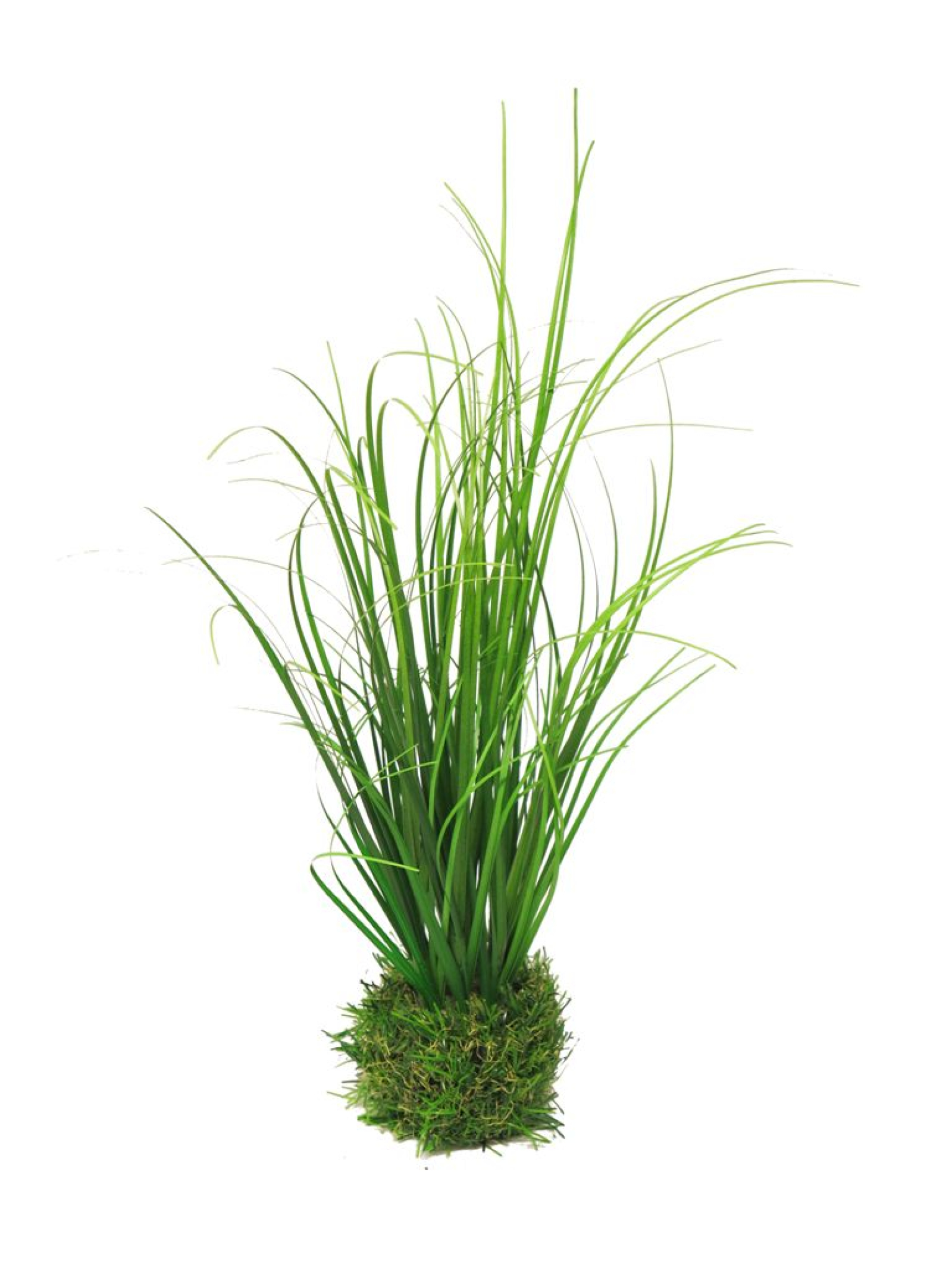 Gras in Grastopf gruen 38cm 51373-1