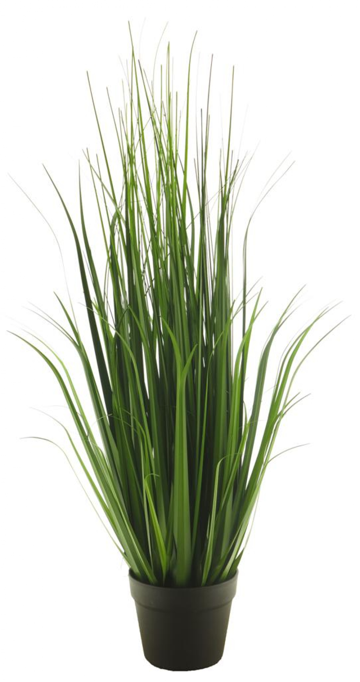 Festuca-Gras mix i.Topf hellgruen 89cm 51832-2