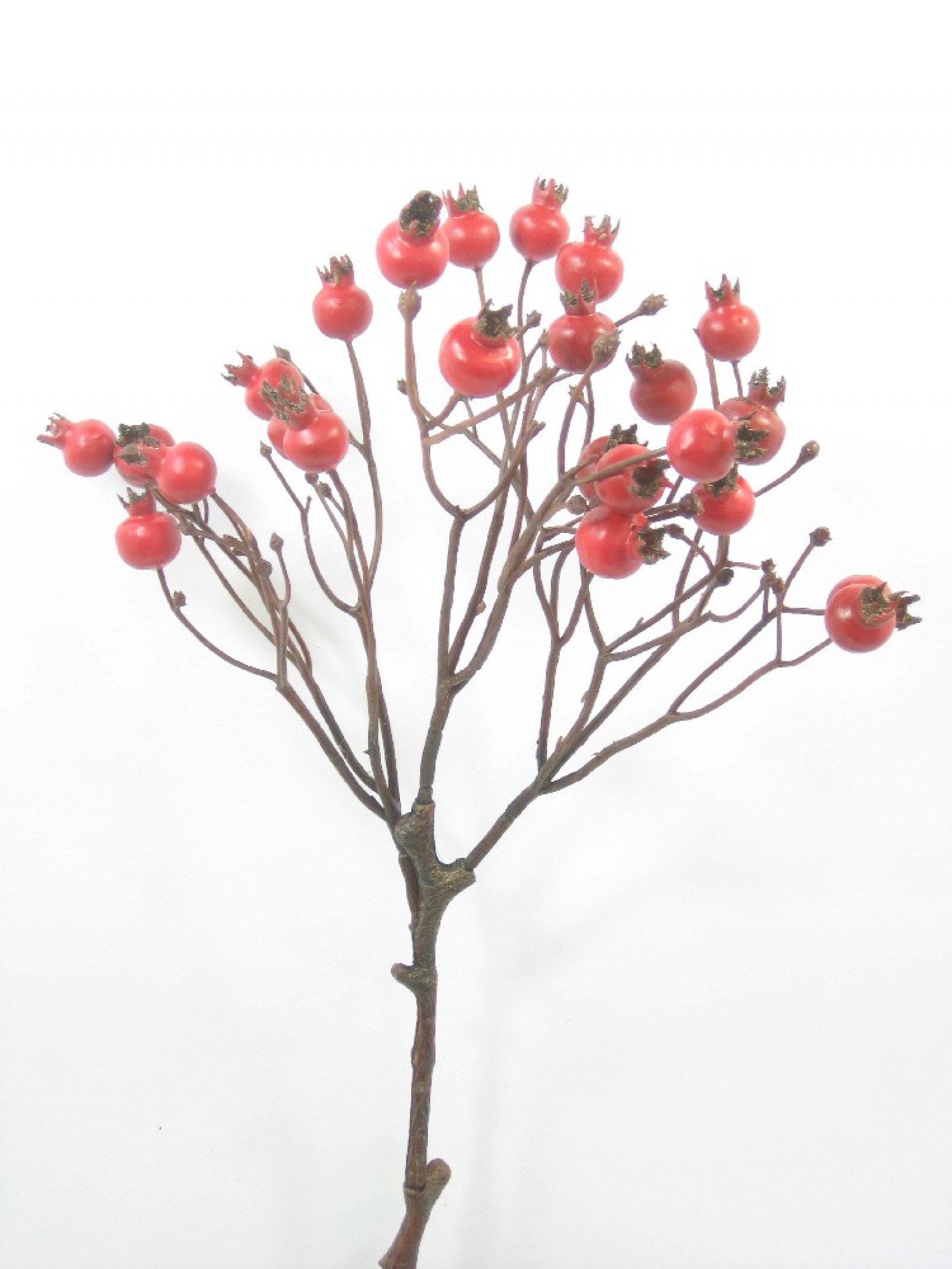 Hagebuttenzweig, 54cm rot 520026-26