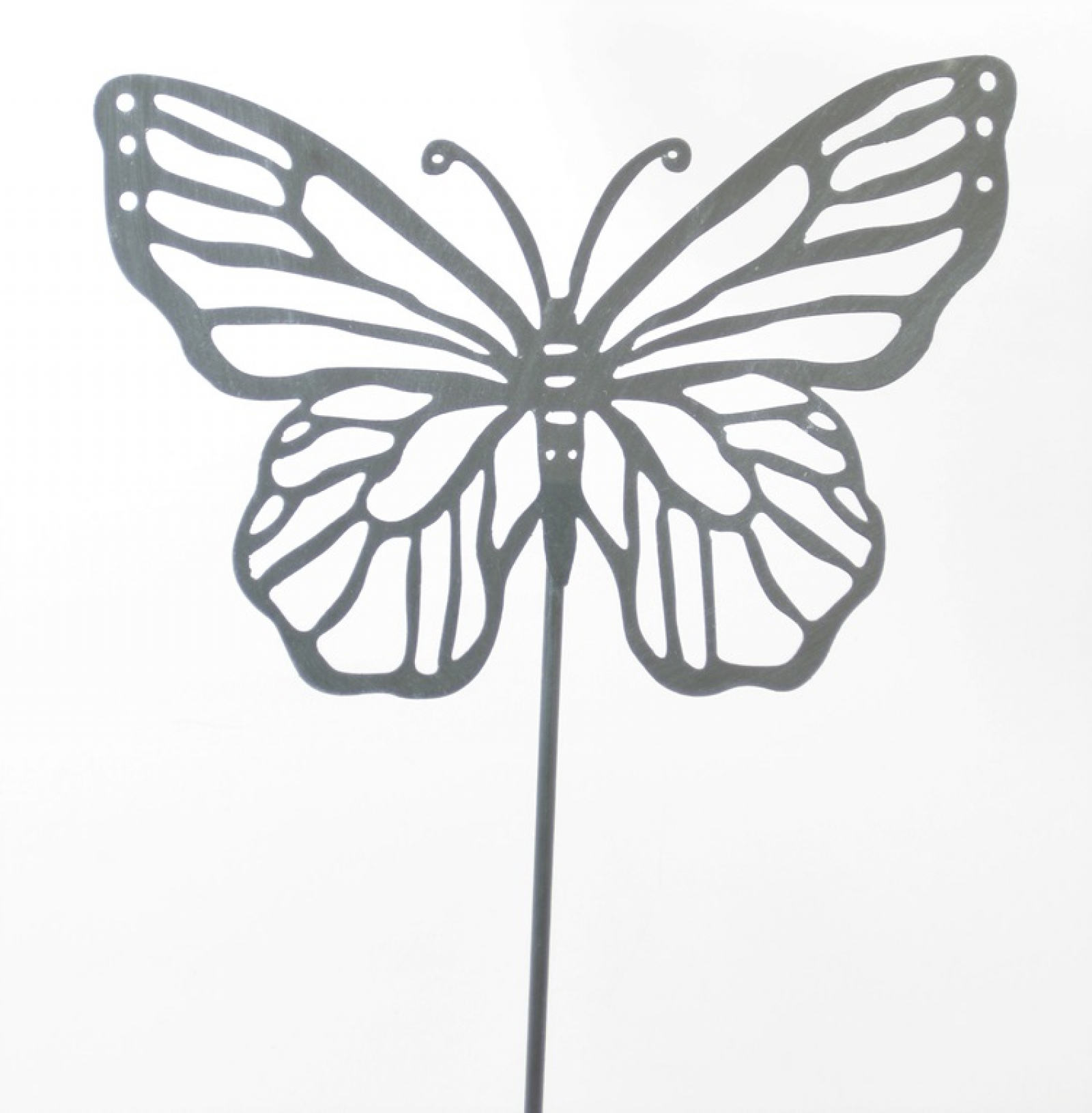 Stecker Schmetterling, B15 H11 ges. H40cm grau 640353-72