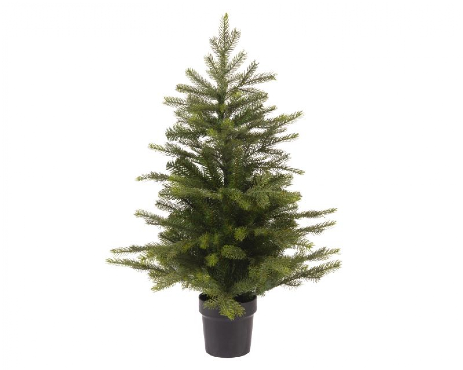 Tannenbaum Grandis ca.75cm gruen 680403