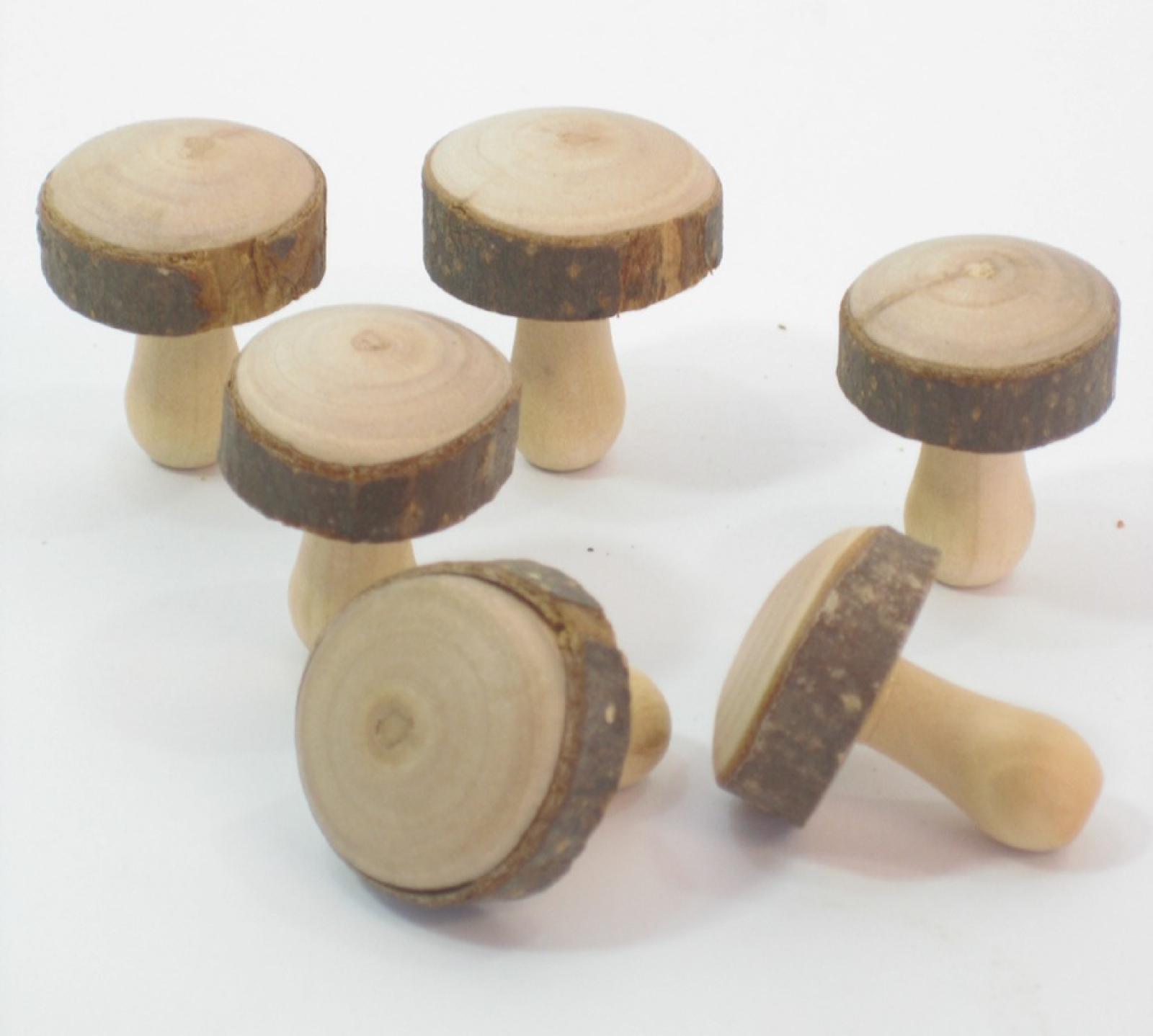 Holz-Pilz H3cm D2cm Kt.m. 6 Stck natur 695757-13