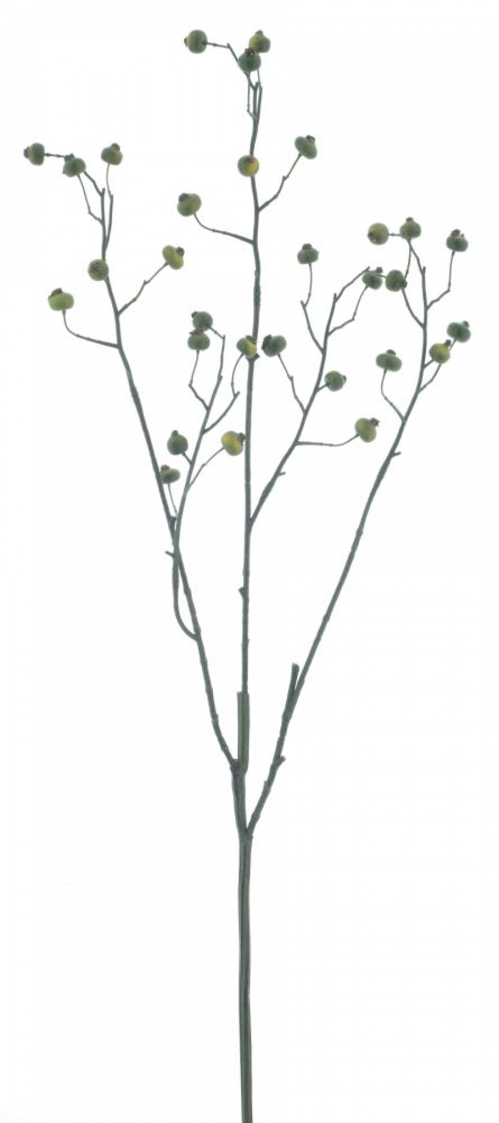 Hagebutten-Zweig gruen ca. 82cm 72132-1