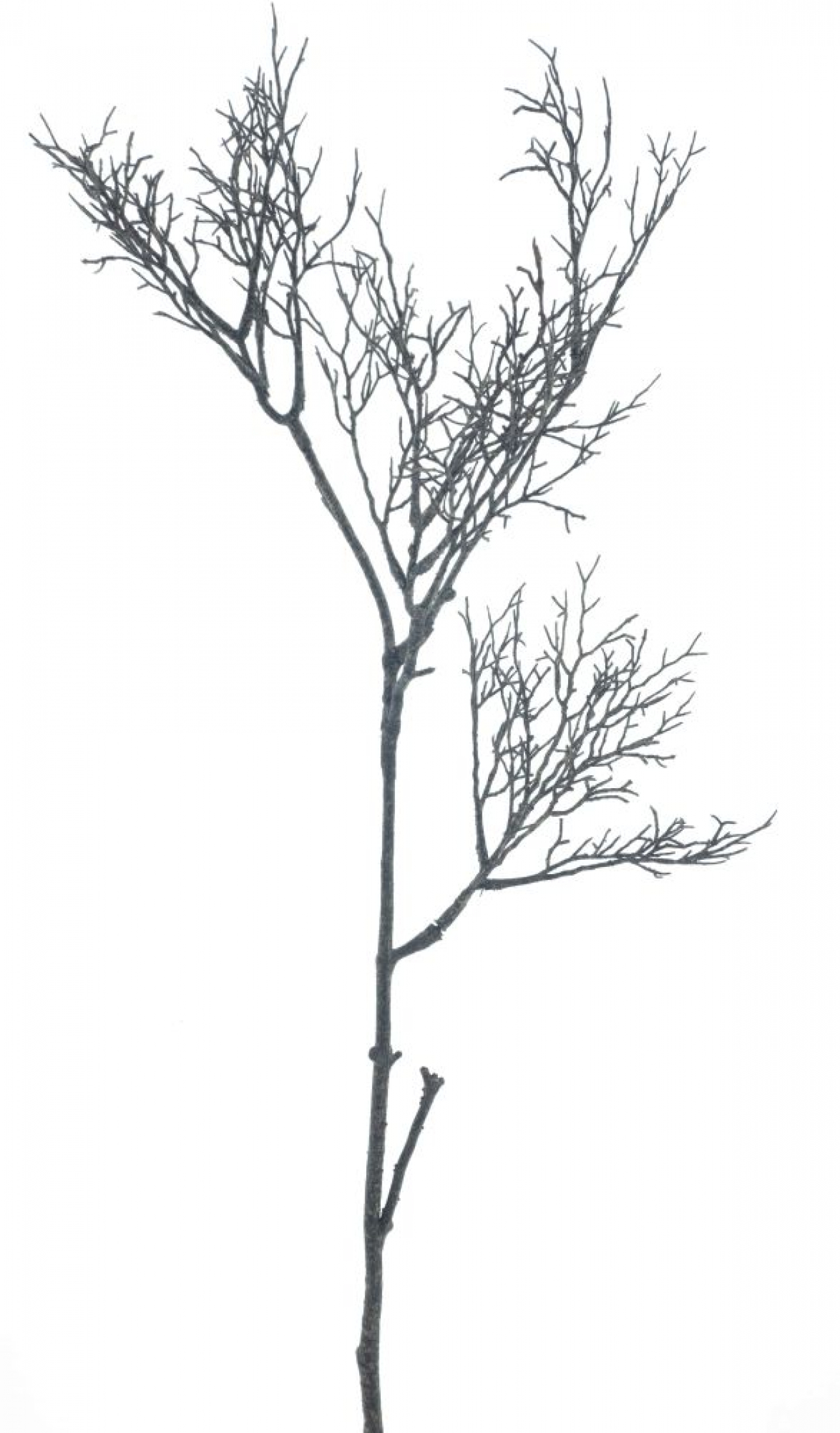 Ast verzweigt braun ca. 80cm 72136-8