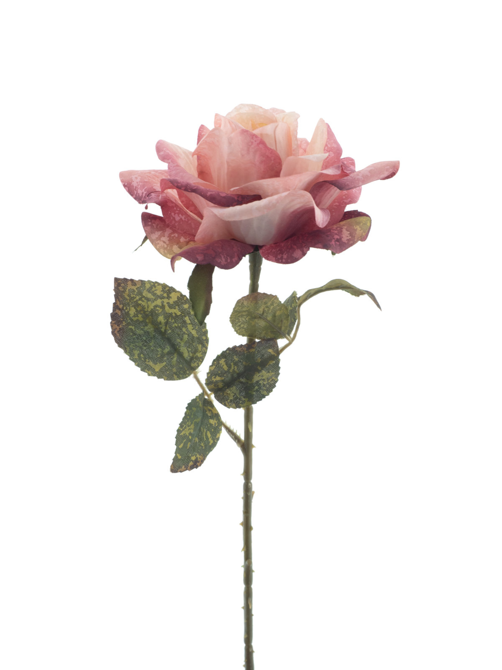 Brandy-Rose Monica ca.50cm rosa 72355-7
