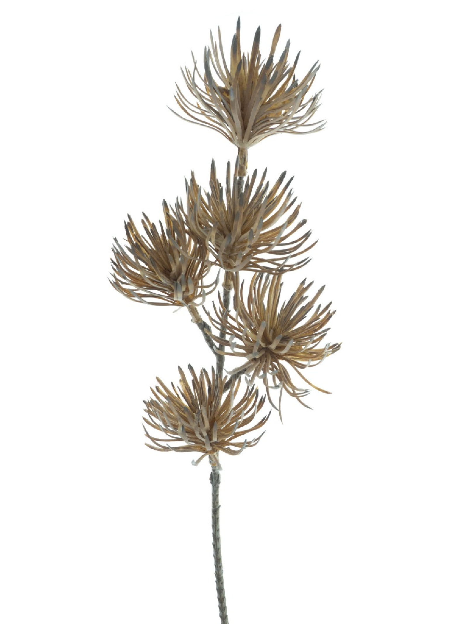 Japan-Distel Goch ca. 43cm herbst-gelb 73748-2