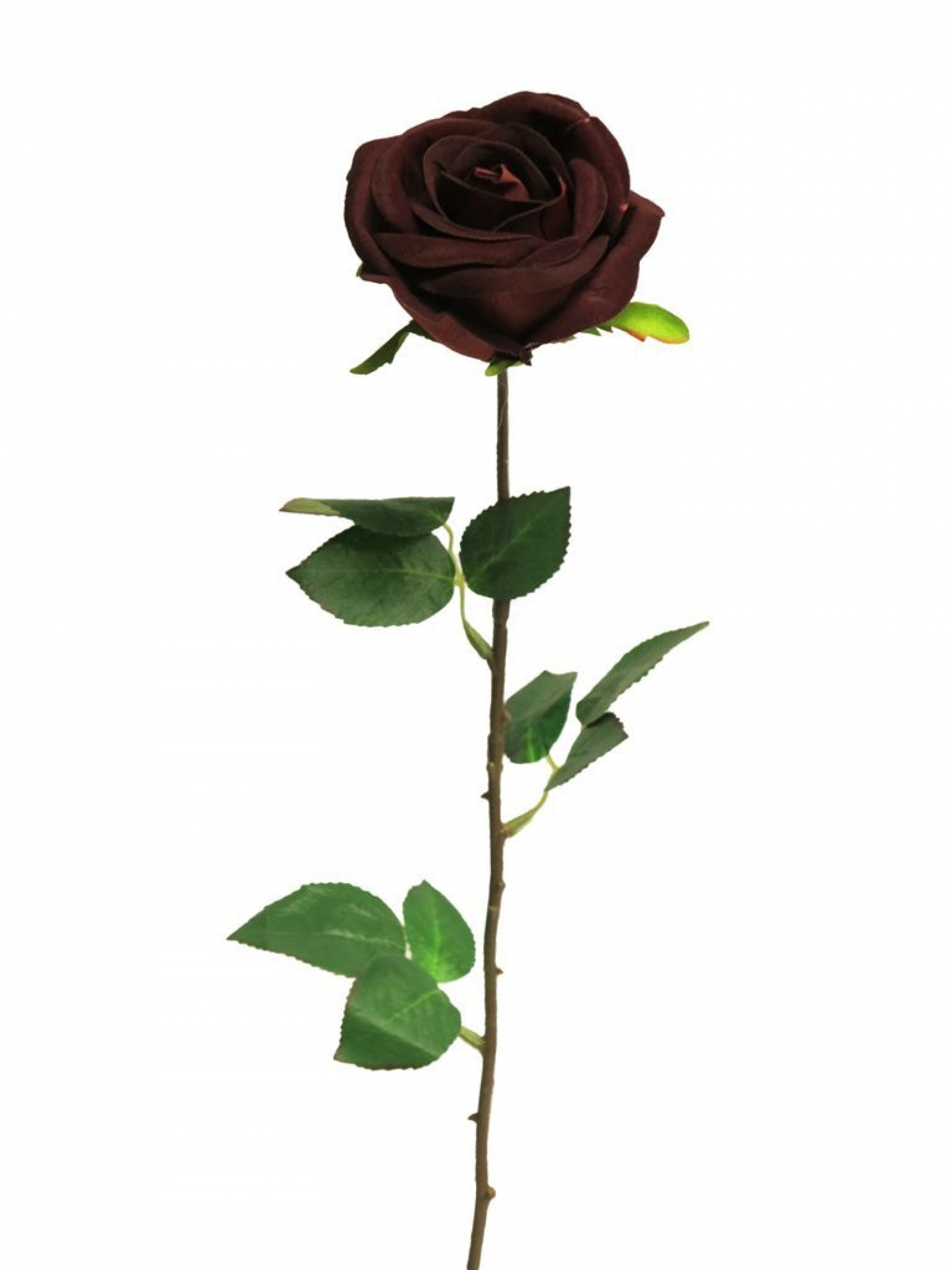 Rose-Velvet Chiara burgund ca. 72cm 89378-6