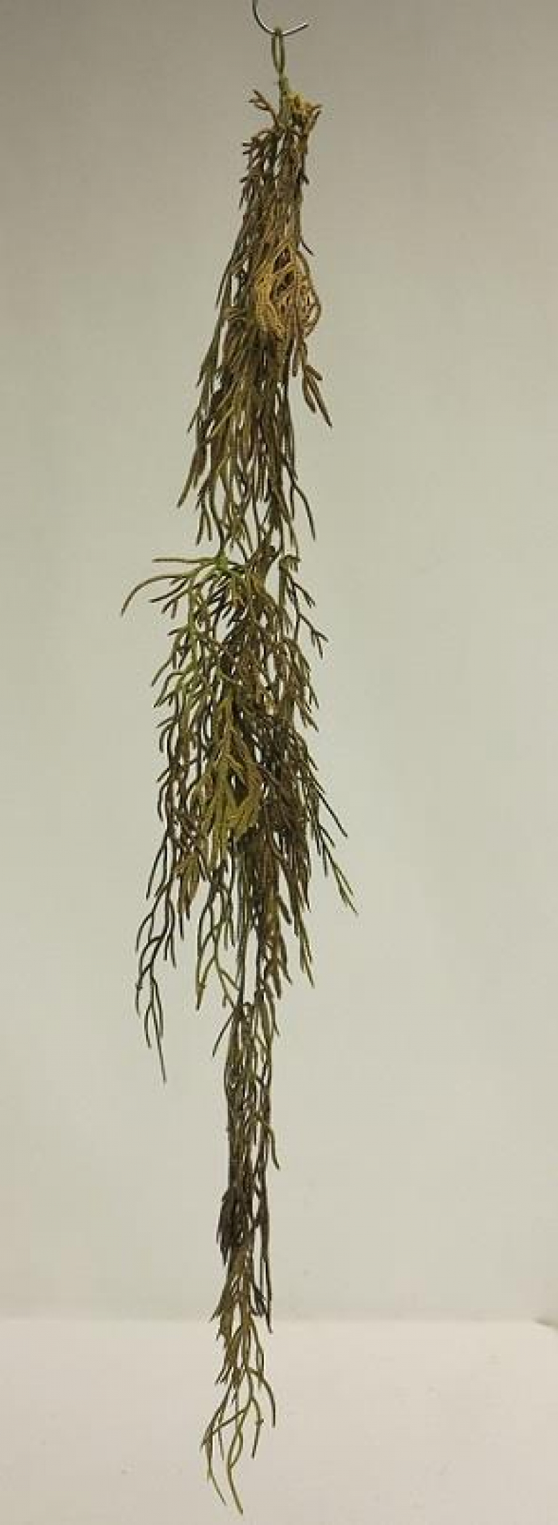 Thuja-Haenger ca. 63cm gruen 89751-1