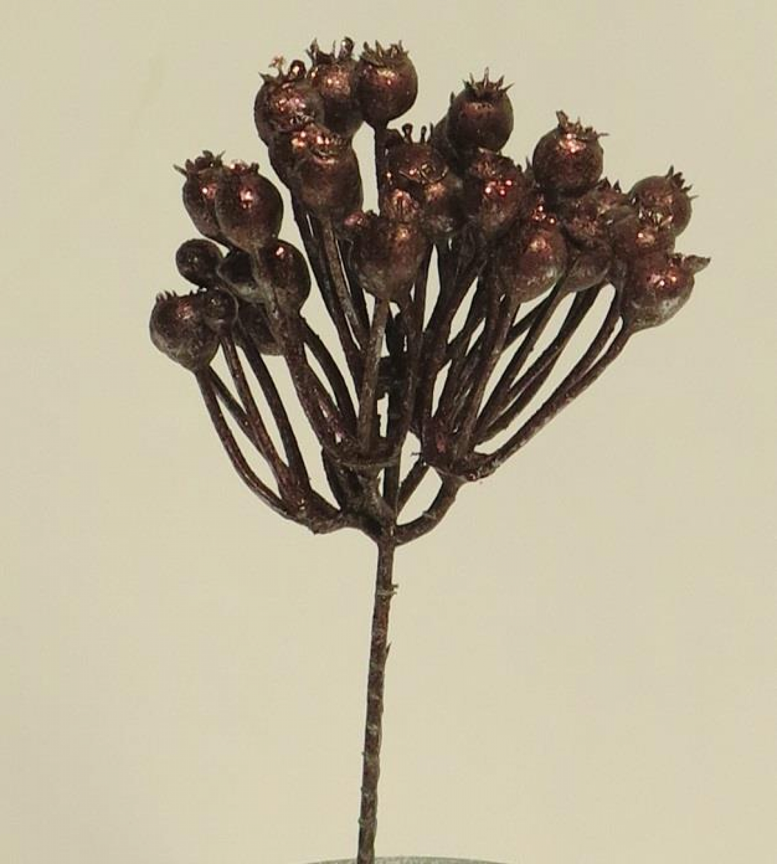 Beeren-Pick braun-rot ca. 20cm 89844-6