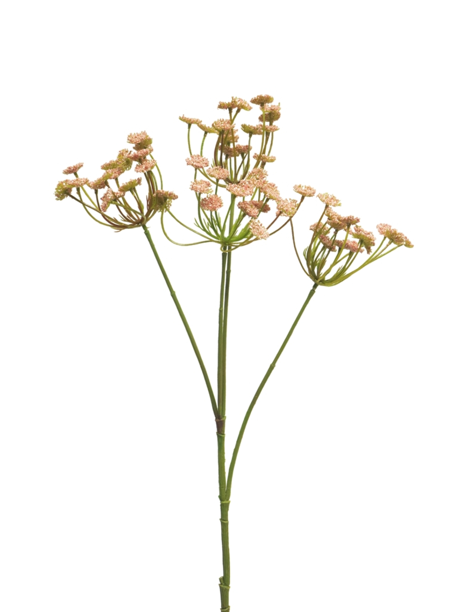 Dill-Zweig x4 pink 68cm 92379-6
