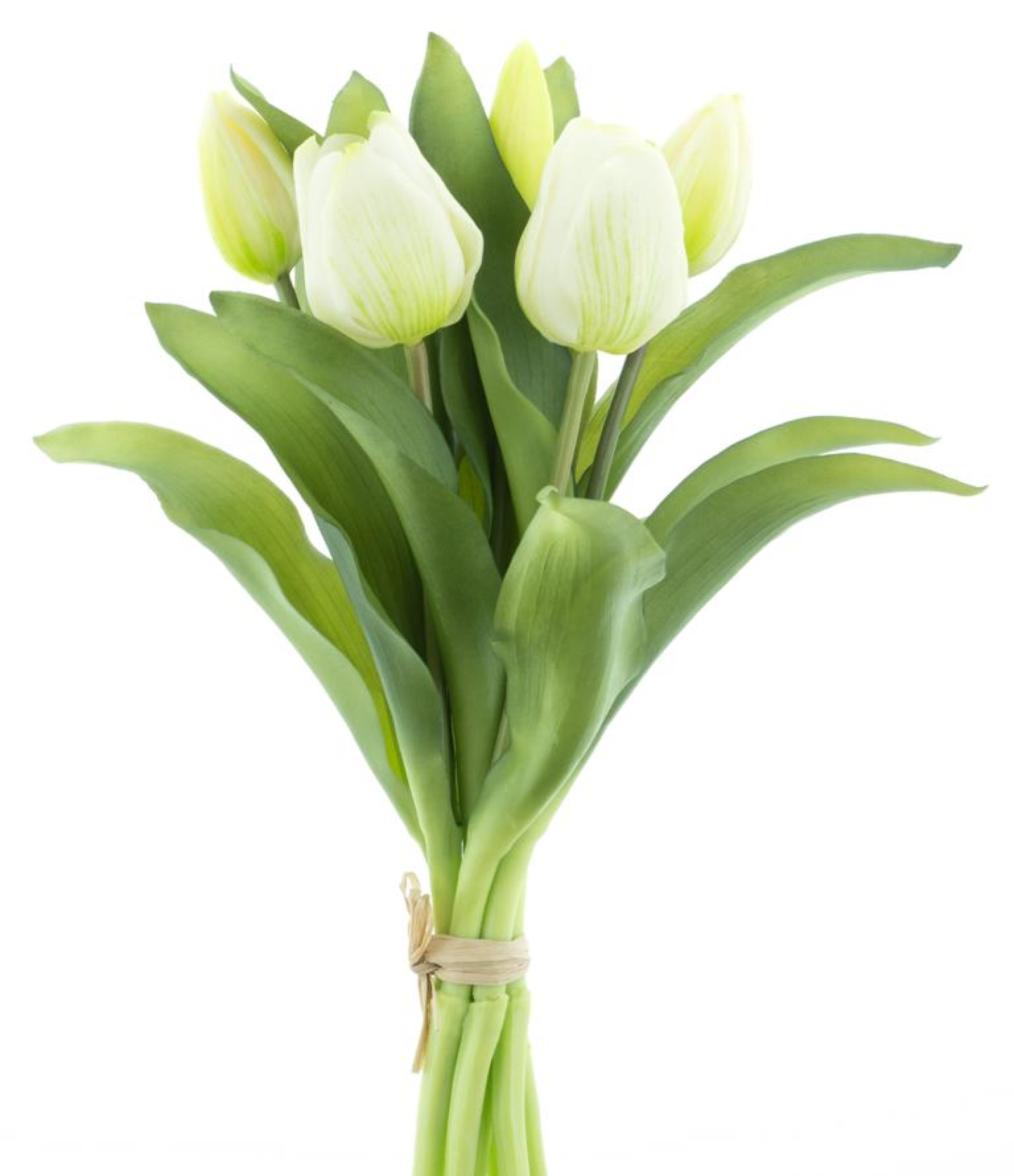 Tulpenbund Vermeer Sally creme 31cm 93292-0