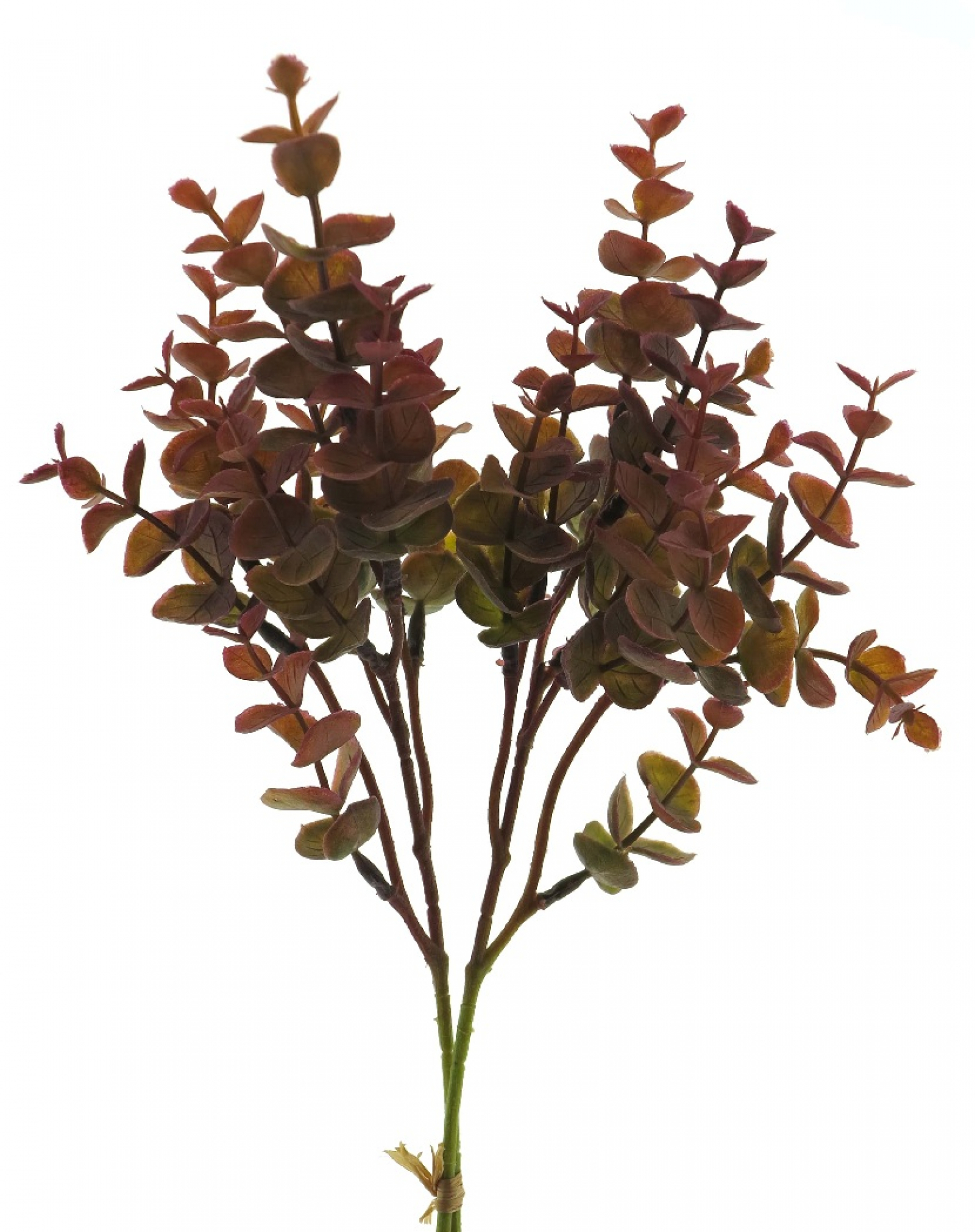 Eucalyptus-Bund burgund ca. 39cm 95095-3