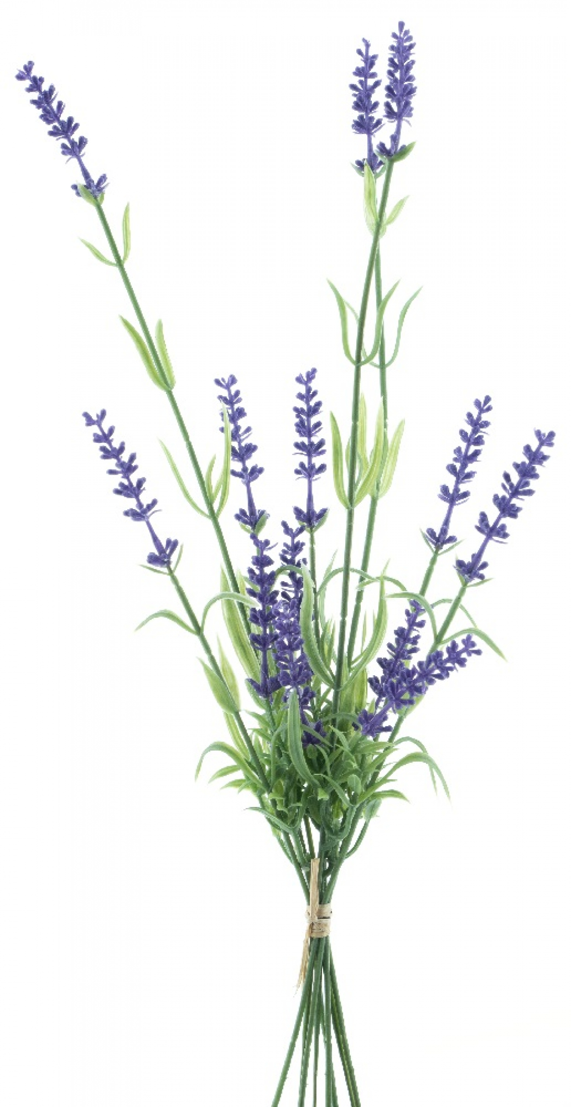 Lavendel-Bund 41cm 95909-6