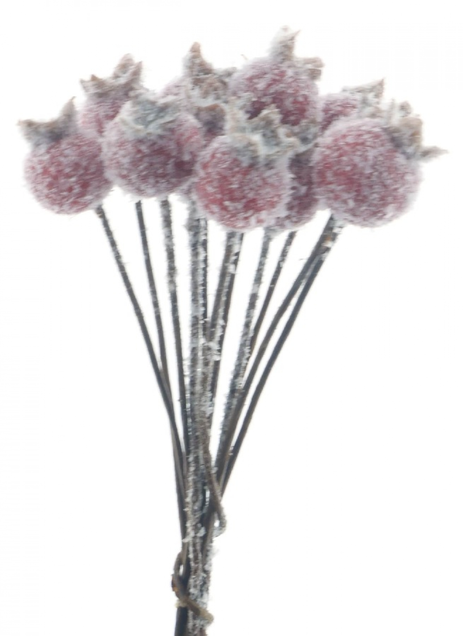 Beeren-Pick rot-beeist ca. 12cm 97215-6