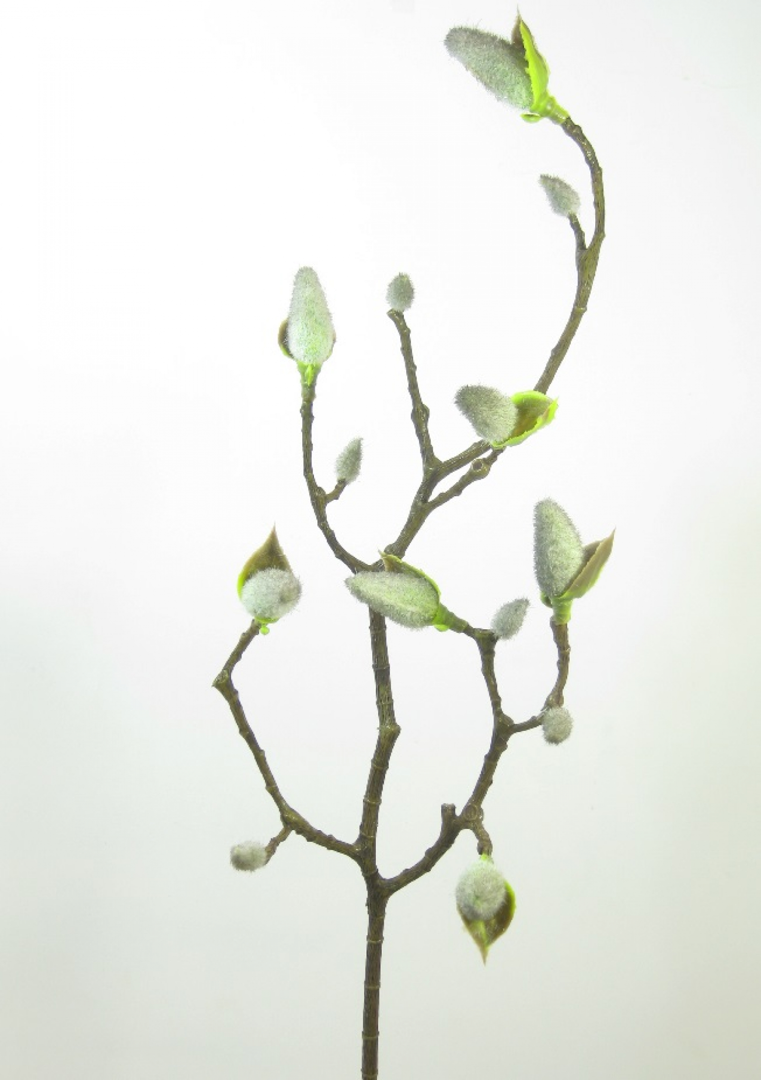 Magnolienzweig Sven schwarz 59cm 97274-9
