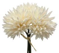 Dahlie L20cm Bund mit 3 Bl. cremeweiss 110146-12