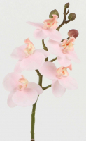 Orchideenzweig L34cm mehrtonrosa 120079-24