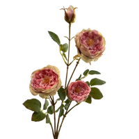 Rosenzweig, 65cm brombeer 120135-56