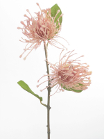 Chrysanthemenzweig x2, 55cm pink-creme 120310-22