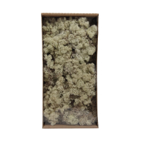 Islandmoos natur 500gr 125815