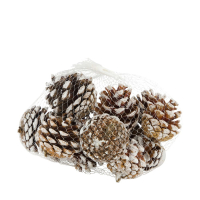Kiefern-Zapfen geweisst 200gr 13x9cm 125991