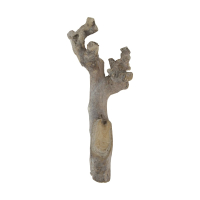 Schwemmholz-Zweig ca. 25cm geweisst 129503
