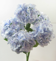 Hortensienbusch  x5, 48cm hellblau 130105-51