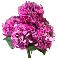 Hortensienbusch  x5, 48cm fuchsia 130105-55