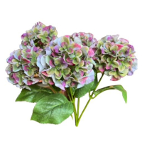 Hortensienbusch  x5, 48cm gruen/pink 130105-81