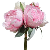 Peonybund x7, 38cm hellpink/creme 130109-82