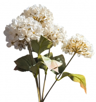 Hortensienbusch x5, 45cm creme-weiss 130319-12