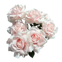 Rosenbusch x7, realtouch 46cm hellrosa 130347-21