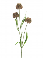 Allium Manousch beauty 51cm 13101-6